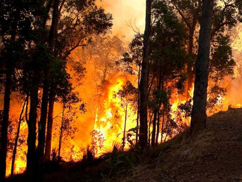 Bushfires Perth Wa