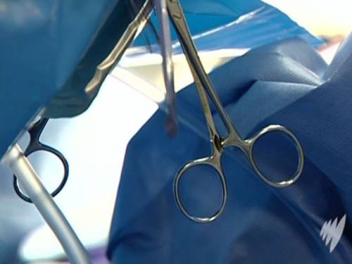 Human tissue is used in a wide range of cases