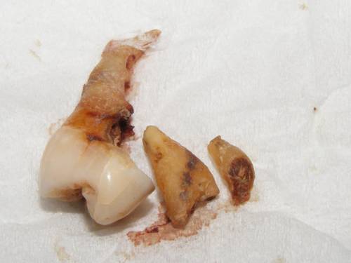 Tesco+voucher+codes+sept+2011