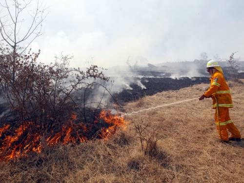 The number of homes destroyed at the Warrumbungle National Park blaze near Coonabarabran has climbed to 40. (Getty Images)