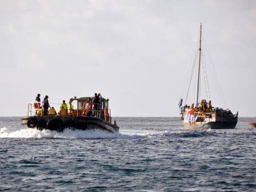 Australian Greens leader Christine Milne has slammed a move to rush the federal government's new offshore processing legislation. (AAP)