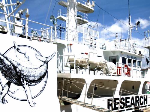 The US Supreme Court rejected Sea Shepherd's bid to end restrictions on its movement near whalers. (AAP)