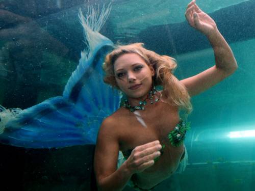 The United States government has assured its citizens that, like zombies, mermaids don't exist. (AAP)