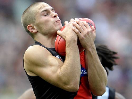 david zaharakis essendon