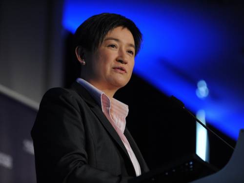 Finance Minister Penny Wong says savings in the government's mid-year budget review will be fair. (AAP)