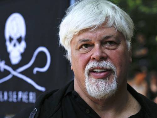 Paul Watson was arrested in May in Frankfurt on a warrant from Costa Rica, where he is wanted on charges stemming from a high-seas confrontation over shark finning in 2002. (AAP)