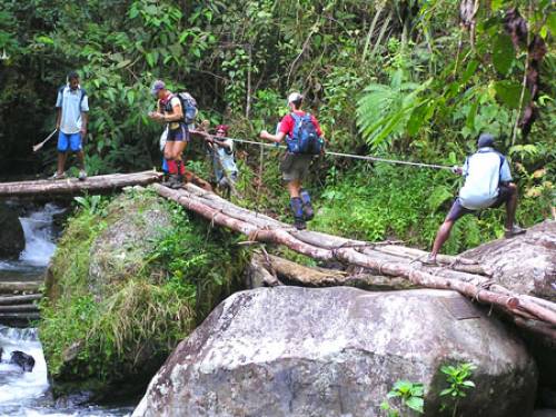 Kokoda Track Conditions