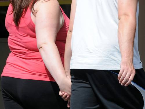 Many studies have shown that feeding animals (such as rats and mice) high-fructose diets leads to increased body weight. (AAP)