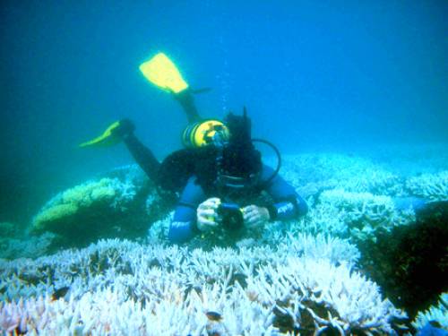 Great Barrier Reef. (Getty)