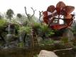 Aussie wins Best in Show at Chelsea