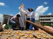 Pope statue unveiled in potato field