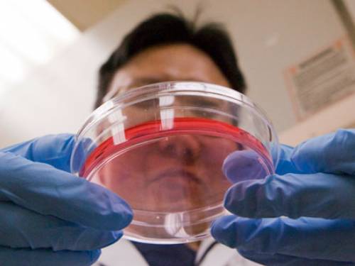 Many scientific advances occurred in the last ten years (AP)