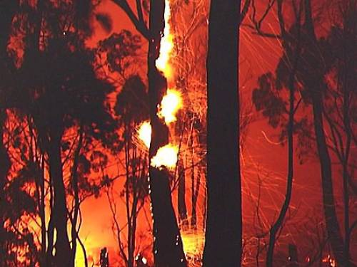 Around two thirds of  the victims of the Black Saturday bushfires died while sheltering in homes (screengrab)