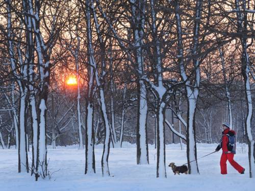 With temperatures plunging as low as minus 40C, the grim winter toll also rose in other countries, including Italy, Poland and Ukraine. (Getty)