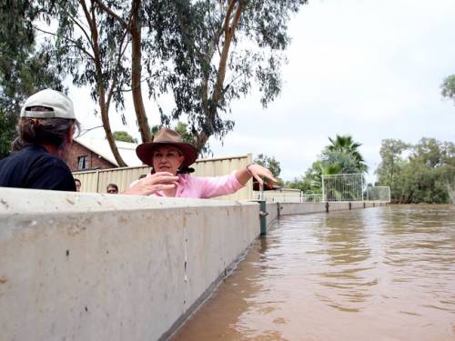 Queensland Premier Anna Bligh and Charleville Mayor Mark O'Brien visit a levy bank in Charleville, Queensland. (AAP)