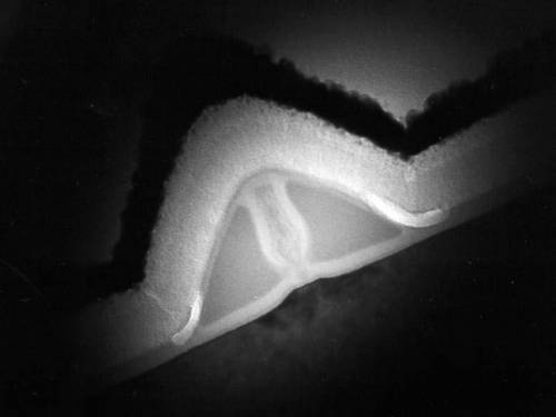 Micro-photograph released by NEC Corporation of reported world's smallest transistor. (File: AAP)
