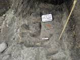 Mammoth remains found in Mexico