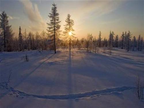 Scientists say the Arctic permafrost is losing its ability to seal in greenhouse gases (Reuters)