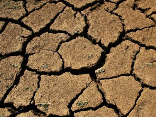 The Bureau of Meteorology's latest drought statement, issued yesterday, found that for the 11 months to the end of February, most of the country escaped rainfall deficiencies. (AAP)