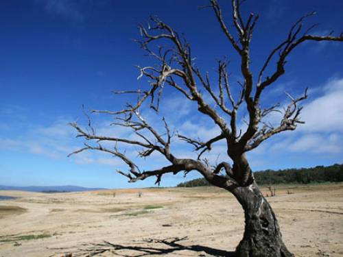 A new poll shows 89 per cent of Australians believe drought and water shortages are the most pressing environmental concerns, over pollution and damage to wildlife. (AAP)