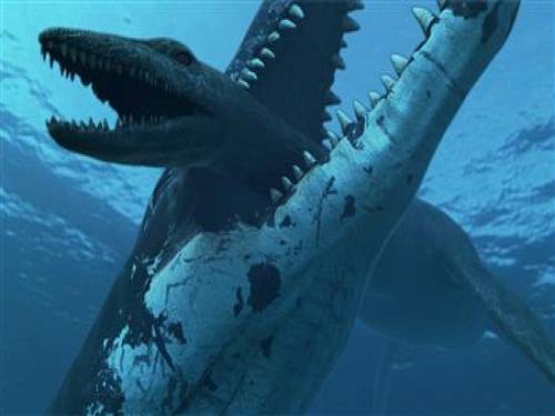 An undated handout shows an illustration of a 50 ft (15 metre) long Jurassic era marine reptile crushing a rival plesiosaur in the Jurassic ocean about 150 million years ago. REUTERS/Atlantic Zoo/Oslo University/Handout