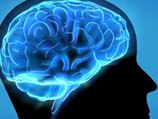 Can we make ourselves smarter? Insight looks into the science of intelligence.