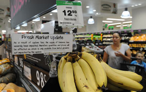Banana prices hit almost 13 dollars in Brisbane due to Cyclone Yasi. (AAP)