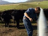Thule farm in Tasmania is providing jobs for Indigenous Australians.