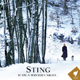 If On A Winter's Night - Sting (CD)