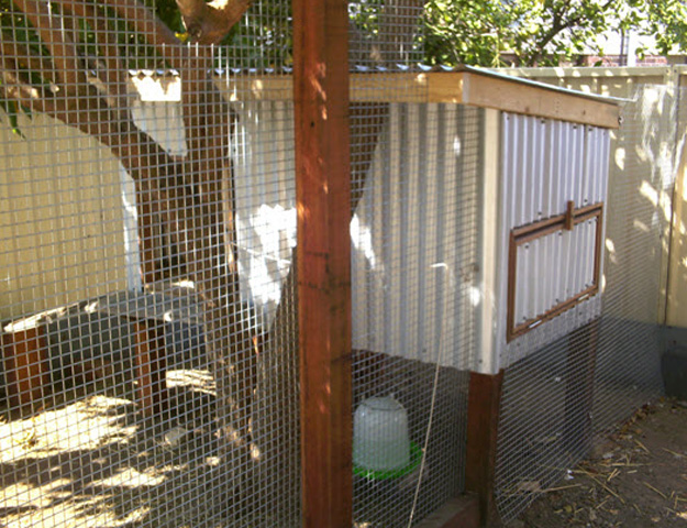 Chicken Coop Plans and Details article | Costa's Garden Odyssey on SBS