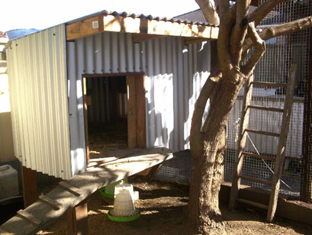 Chicken Coop Plans and Details article | Costa's Garden ...