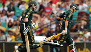 cricket-301_1643368565