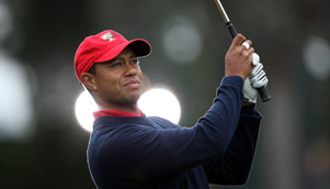 woods-301_219748102
