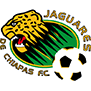 Jaguares