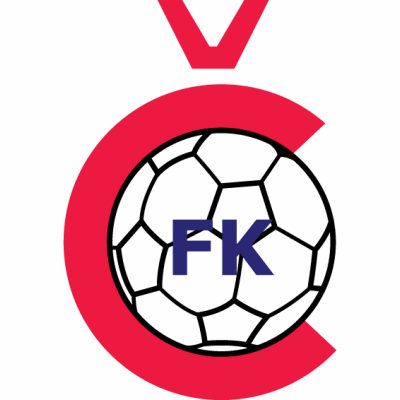 Čelik