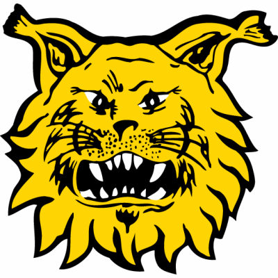 Ilves