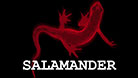 Salamander