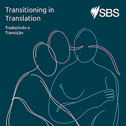Transitioning In Translation