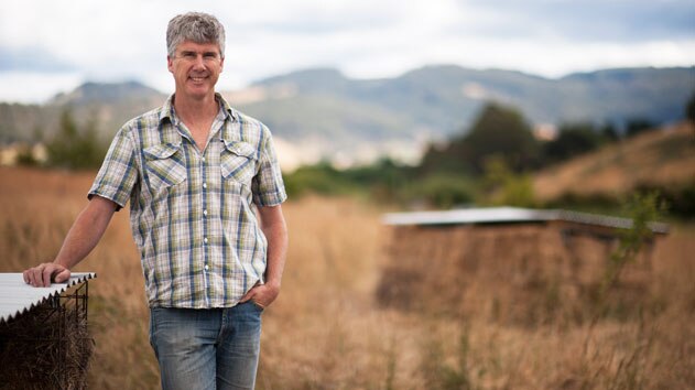Stinging nettle and potato soup